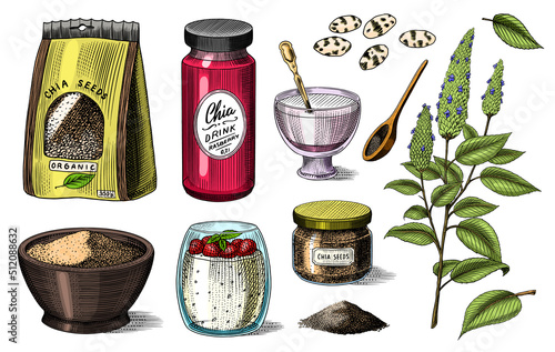 Chia plant and seeds. Salvia hispanica. Spice packaging, wooden spoon and dessert cup and pudding. A handful of seasoning and a glass bottle. Engraved hand drawn in old sketch and vintage style. 