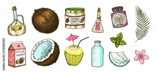 Coconut and palm leaf, Milk packaging, glass bottle, butter, cosmetic cream jar, cocktail with umbrella. Vintage style. Tropical food illustration