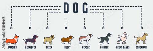 Dog banner web icon. samoyed, retriever, boxer, husky, beagle, pointer, great danes, doberman vector illustration concept.