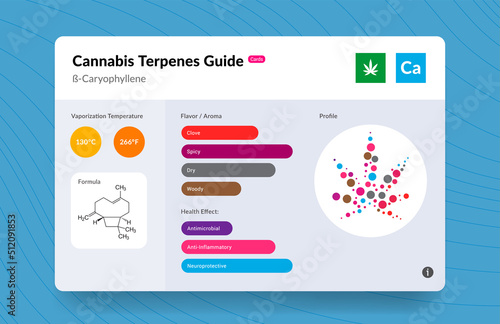 UI Cannabis Terpene Guide Information Chart. Aroma and Flavor with Health Benefits and Vaporize Temperature. Vector.