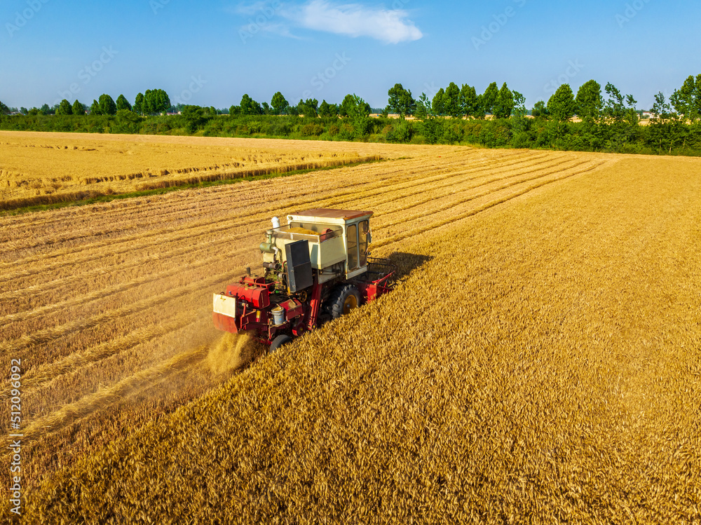 Obraz premium Harvesters work on the farm. Combine harvester agricultural machine is harvesting golden ripe wheat field. Agricultural scene. Aerial view from above.