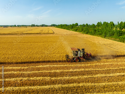 Harvesters work on the farm. Combine harvester agricultural machine is harvesting golden ripe wheat field. Agricultural scene. 
