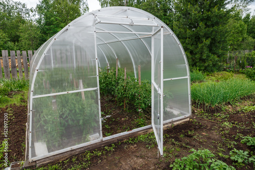 greenhouse in the garden. polycarbonate greenhouses in the garden. Open door to the greenhouse.