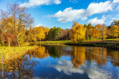 Autumn view of the park landscape with a pond