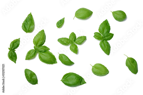 Various green basil leaves isolated on white background