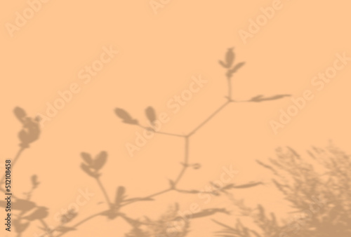 Natural light casts shadows from wildflowers. Top view of the shadow of wildflowers on a textured orange background. Mock up with an overlay of plant shadows.