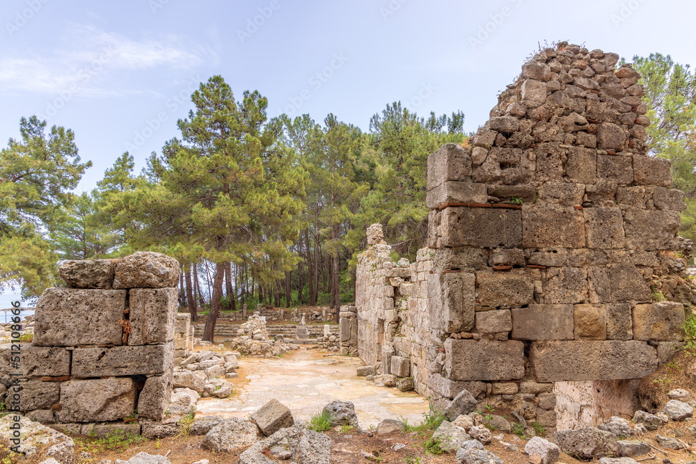 Ruins of Phaselis an ancient city ranged on a peninsula surrounded by three small, perfect bays near Kemer in Turkey.