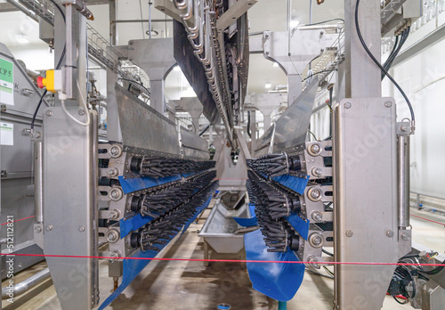 Inside of machine feather plucked on the chicken meat production line photo