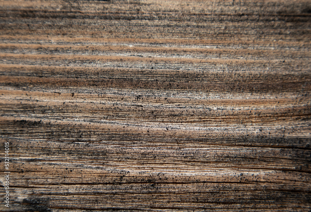 Wood of old texture .The wall of an old wooden house. Wallpaper, background. Wood of old texture .The wall of an old wooden house. Wallpaper, background.