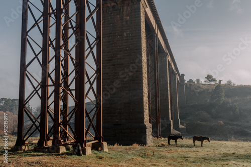 Taradale Railway Viaduct in Victoria Australia photo