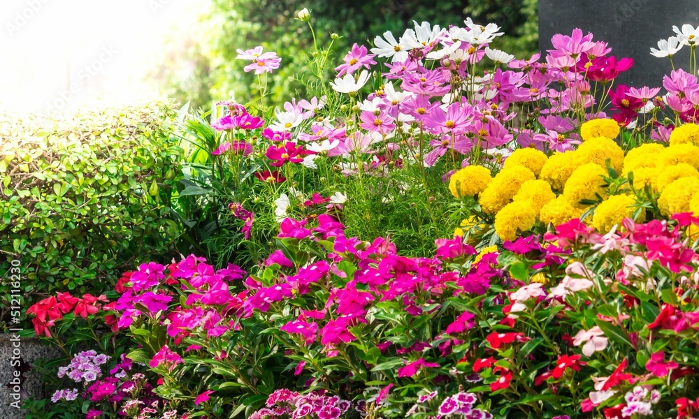 Garden Background Very Cool Garden Background Very Cool