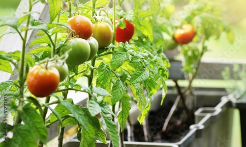 Garden Background Very Cool