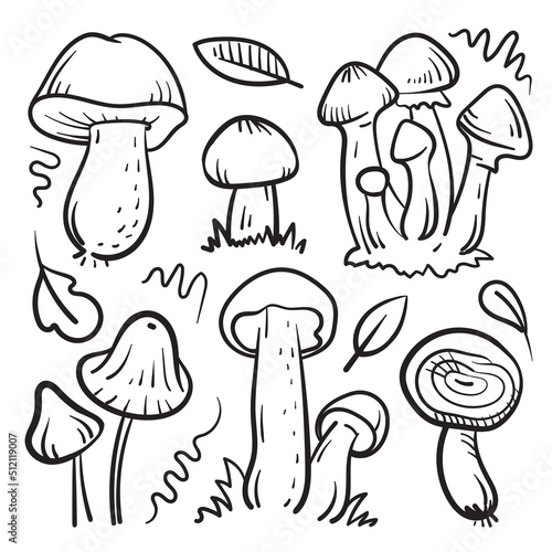 Varieties of mushrooms doodle set. Engraving isolated on white background.
