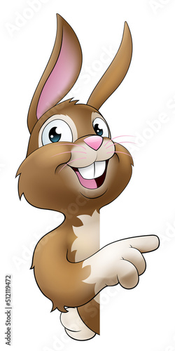Easter Bunny Rabbit Cartoon...