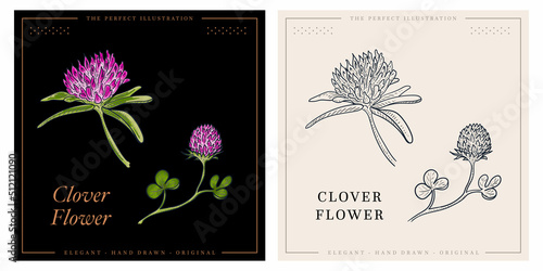 Clover flower set sketch blossom © CHEESEBURGER