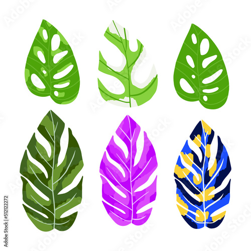 Set of tropical leaves