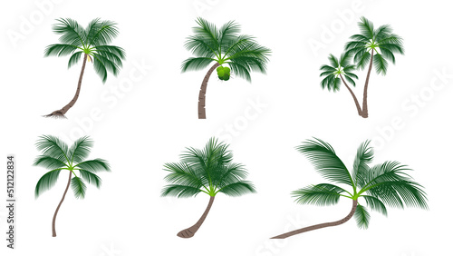 Set Of Coconut Palm Trees