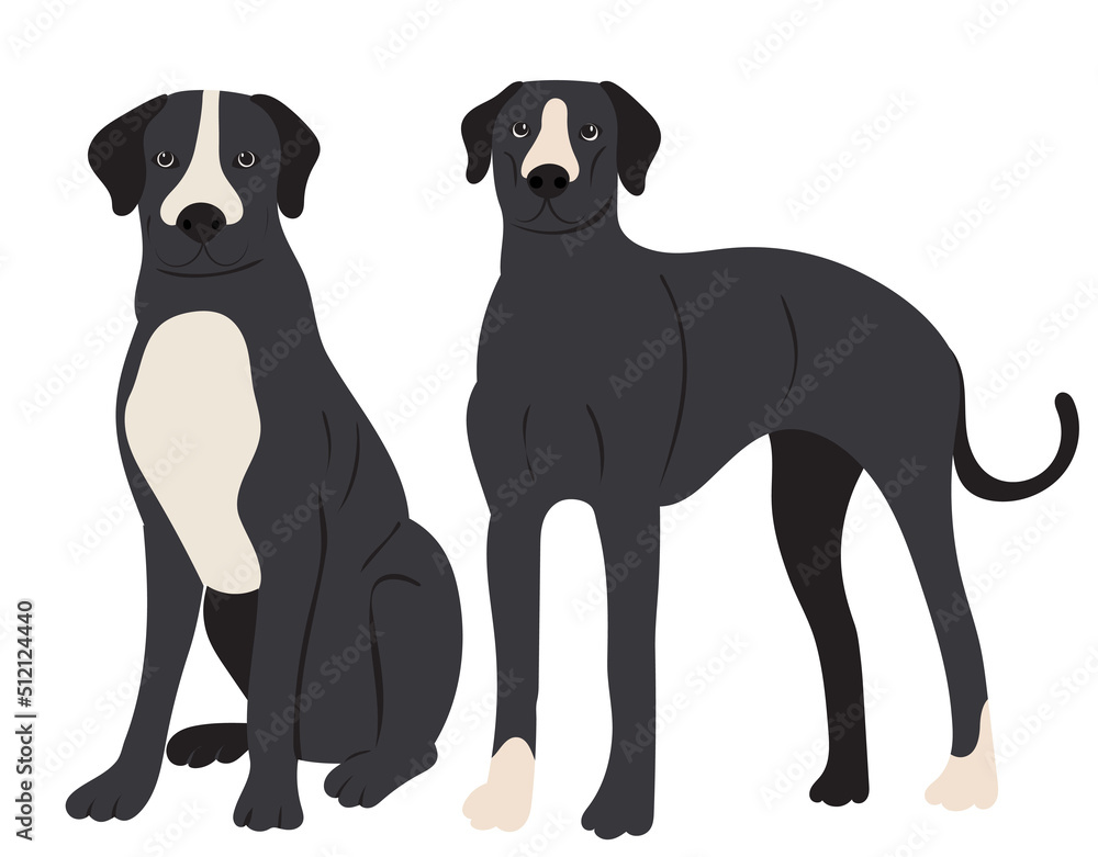 dog in flat design, isolated