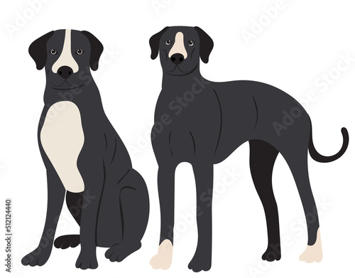 dog in flat design  isolated