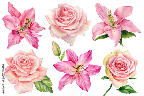 Set pink flowers, Lilies, and roses on an isolated white background, watercolor illustration, greeting card