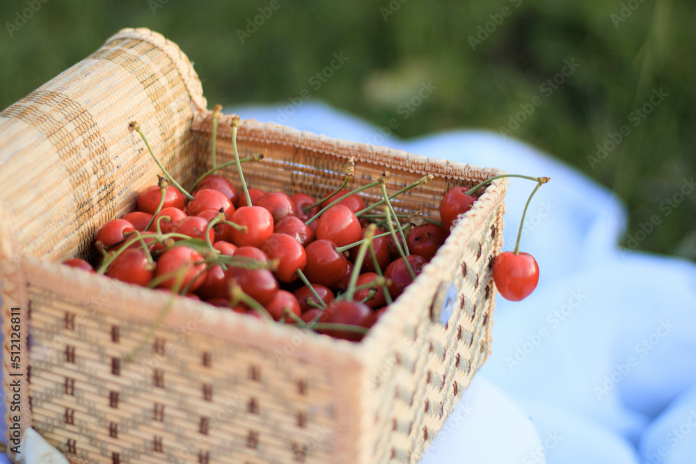 Basket with cherry close up on table in garden