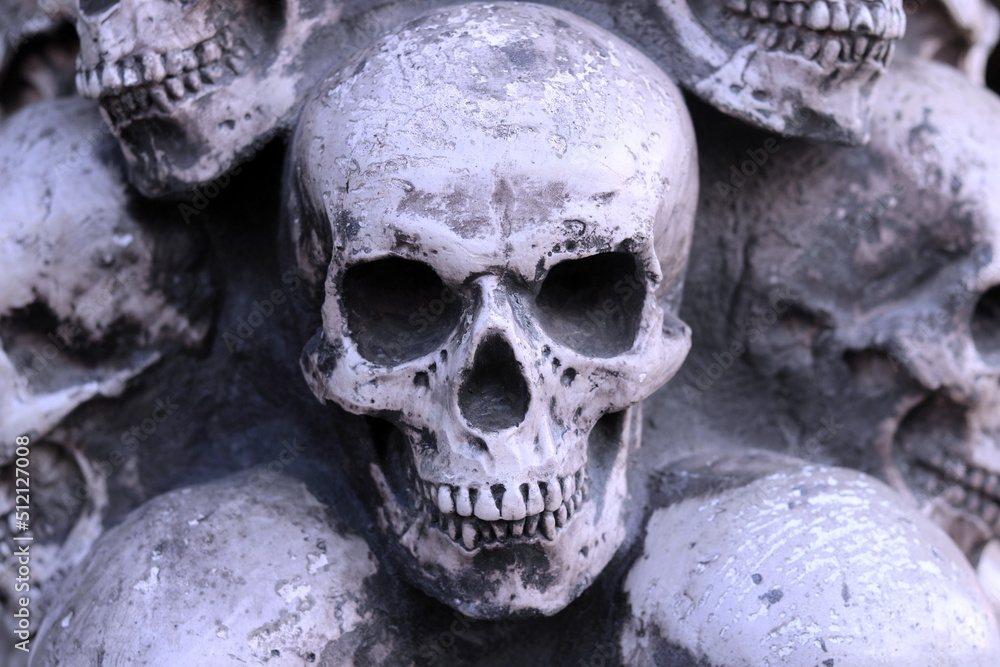 Photo of skulls against background of other skulls as reminder of death in form of skull or fear of death with skull Photo of skulls against background of other skulls as reminder of death in form of skull or fear of death with skull