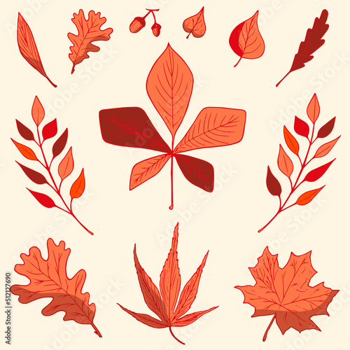 A set of autumn leaves for website icons, banners, textile prints, stickers. Hello, autumn, Halloween, Thanksgiving