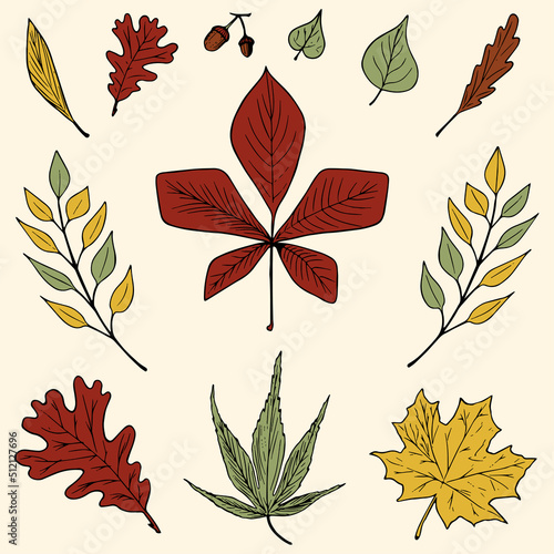 A set of autumn leaves for website icons  banners  textile prints  stickers. Hello  autumn  Halloween  Thanksgiving