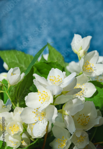 A bouquet of jasmine in a vase on a turquoise background.