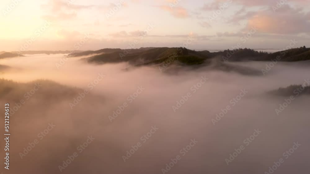 Log fog over Oregon forest at sunrise. Cinematic 4k drone flight. Log fog over Oregon forest at sunrise. Cinematic 4k drone flight.