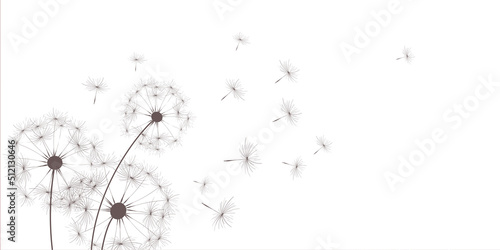 dandelion illustration banner © Orkidia