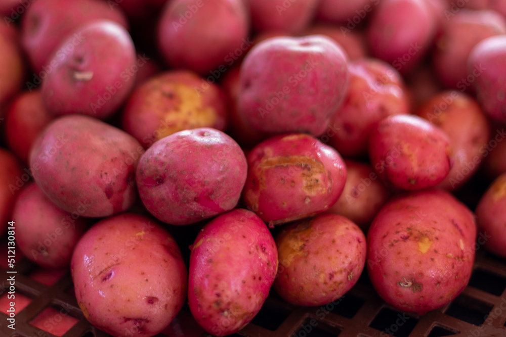 A closeup of a large collection of fresh cleaned new red potatoes. The organic vegetable is raw with tsun shining on their thin layers of skin. The stack of root vegetables has small indents or eyes. A closeup of a large collection of fresh cleaned new red potatoes. The organic vegetable is raw with tsun shining on their thin layers of skin. The stack of root vegetables has small indents or eyes.