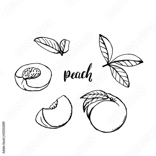 Set of hand drawn black and white peaches and peach lettering. Vector graphic illustration.