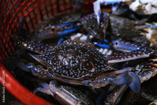 Fresh seafood crab  Fresh raw blue crab seafood in a basket
