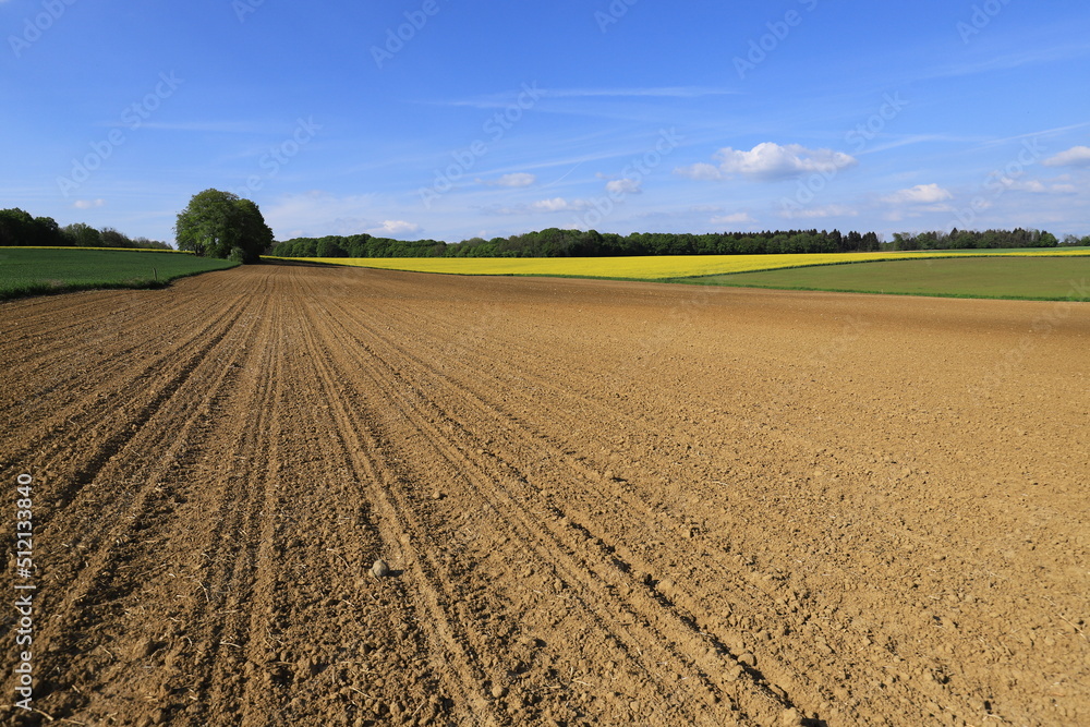 Terre agricole avec ses cultures  au printemps 