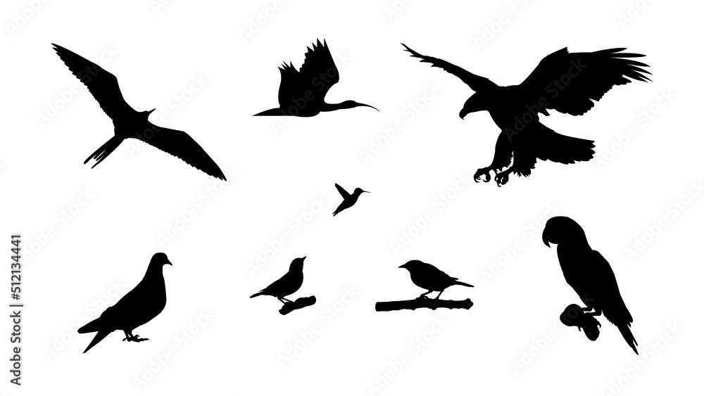 Obraz premium Set Of Bird Silhouettes