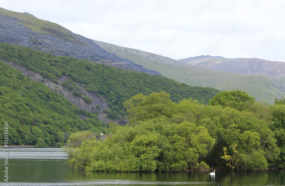 A lake in Snowdonia national park showing a beautiful calm lake with a small island full of trees and the mountain view in the background