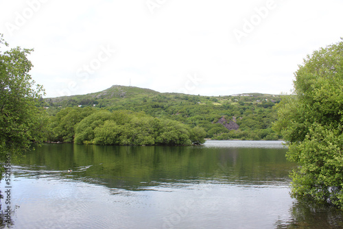 lake in the forest