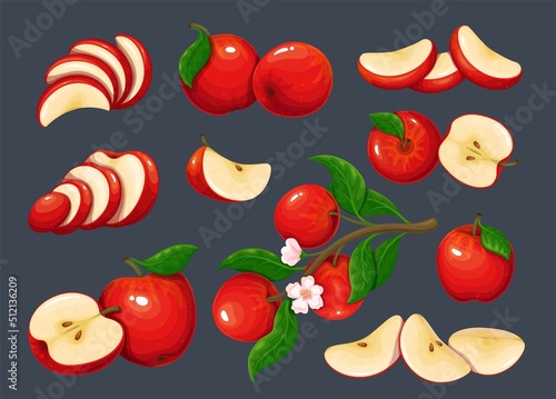 Red apple set vector illustration. Tree branch with organic fruity apples, flowers and green leaves Cartoon isolated whole delicious juicy fruit and cut into portion slices, half and quarter pieces.