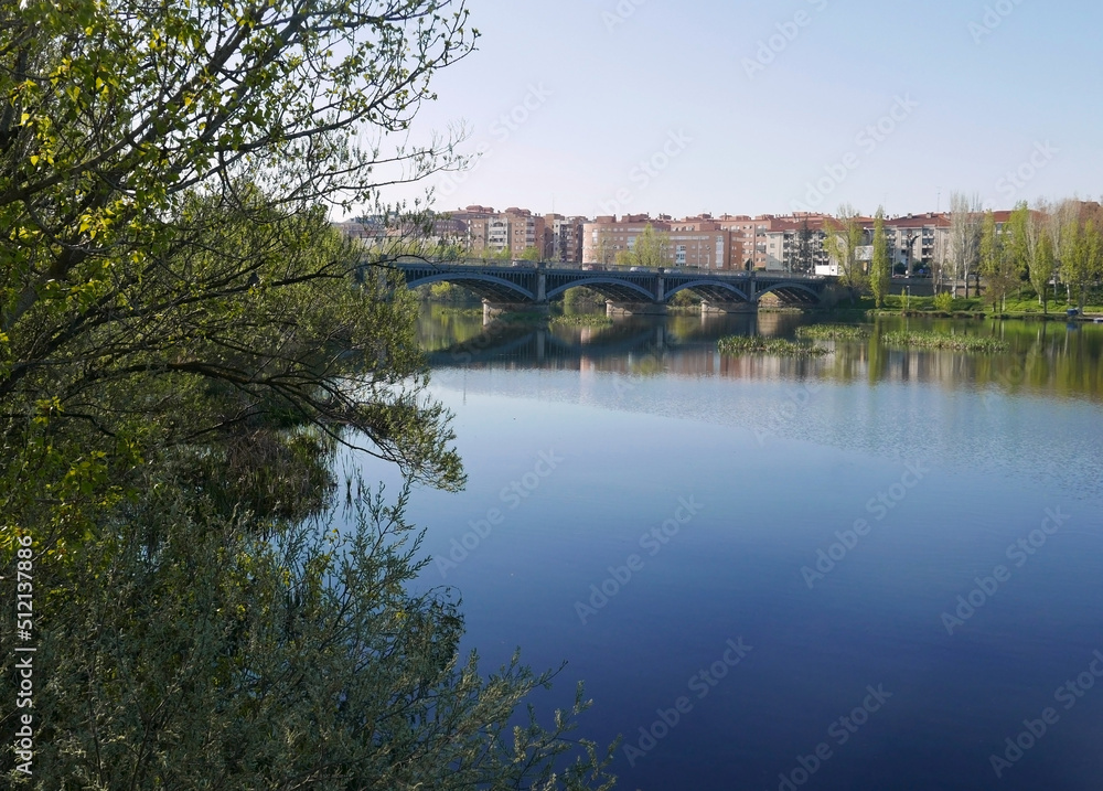 idilliaco panorama del fiume a Salamanca in Spagna
