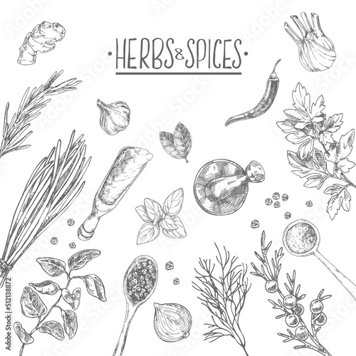Hand drawn vector condiment flavour image template
