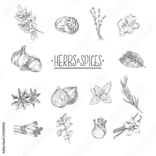 Hand drawn vector condiment flavour image template