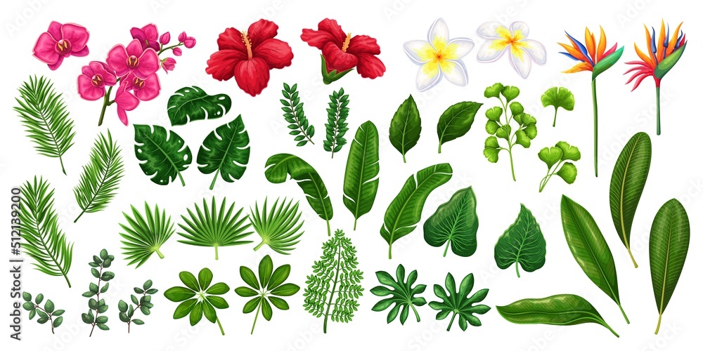Tropical flowers and leaves, botanical set vector illustration. Cartoon isolated green leaf of palm trees, foliage of tropic jungle, exotic beach plants and fresh nature of summer paradise island - obrazy, fototapety, plakaty 