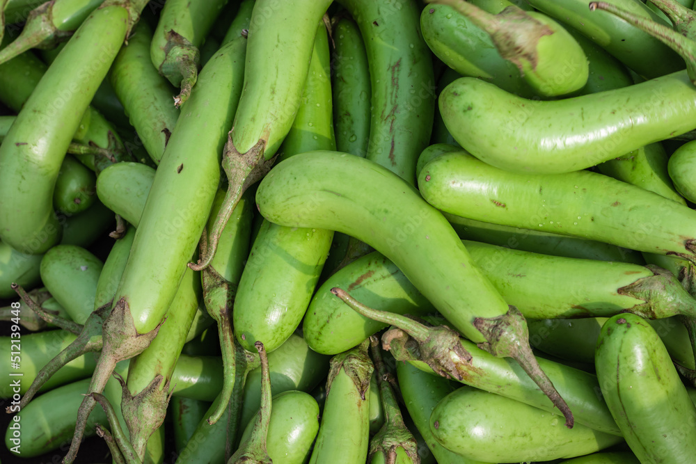 fresh organic brinjal from farm close up from different angle fresh organic brinjal from farm close up from different angle