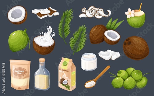 Coconut set vector illustration. Cartoon isolated whole coconuts pile and fruit cut in half with splash of fresh juice, slices and sections, tropical coco palm leaf, milk and oil grocery products