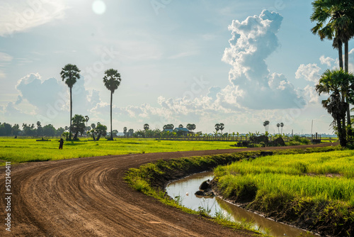 road in the countryside photo