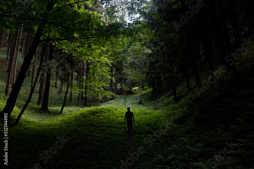 path in the woods with man