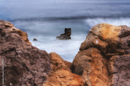 dog body pareidolia between the rocks of the sea photo