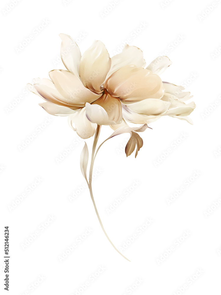 Light peony on a white background. Watercolor style illustration