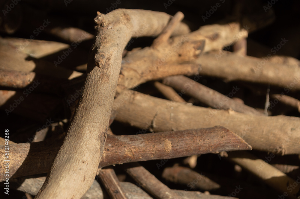 Fototapeta premium tree branches cut for firewood
